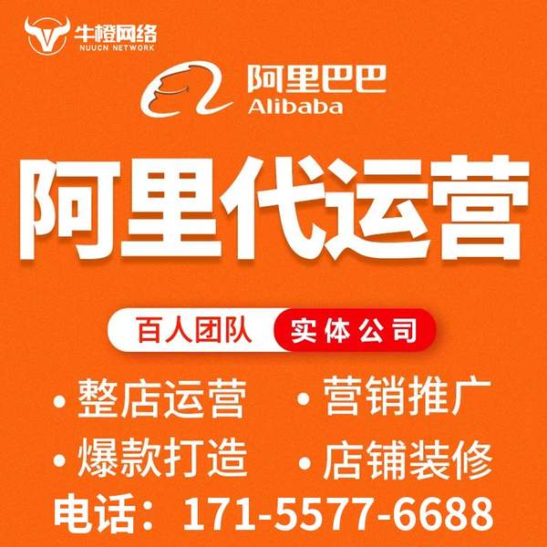 丽水电商代运营