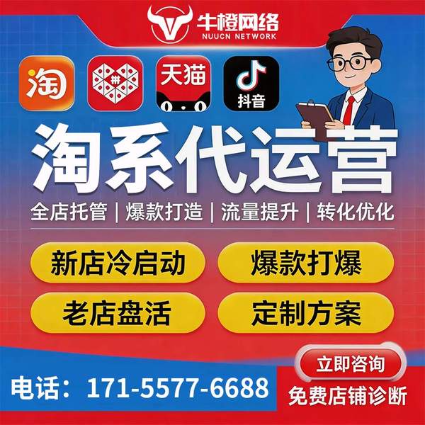 丽水电商代运营