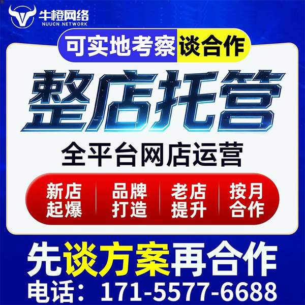 丽水电商代运营