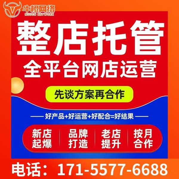 丽水电商代运营