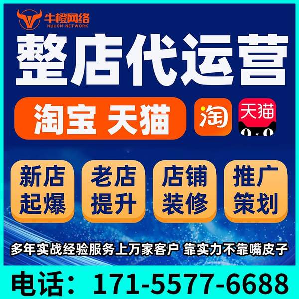 丽水电商代运营
