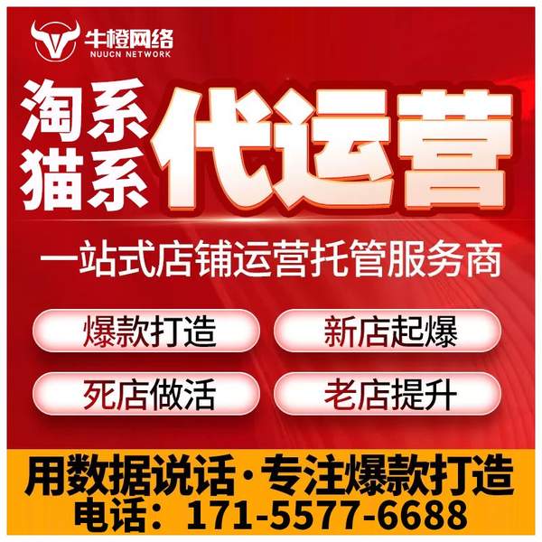 丽水电商代运营